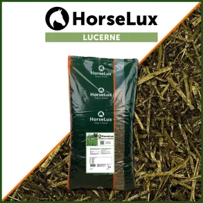HorseLux Lucerne 29541 Sk 10  kg